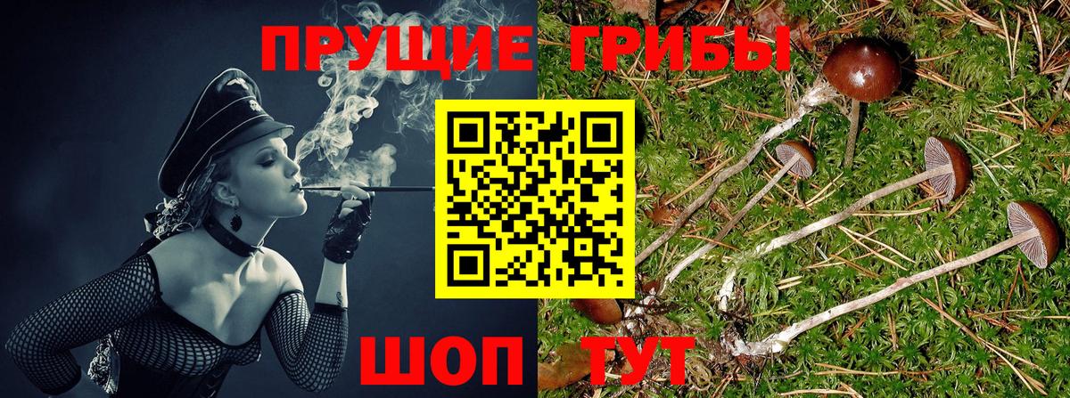 Псилоцибиновые грибы Magic Shrooms Фрязино
