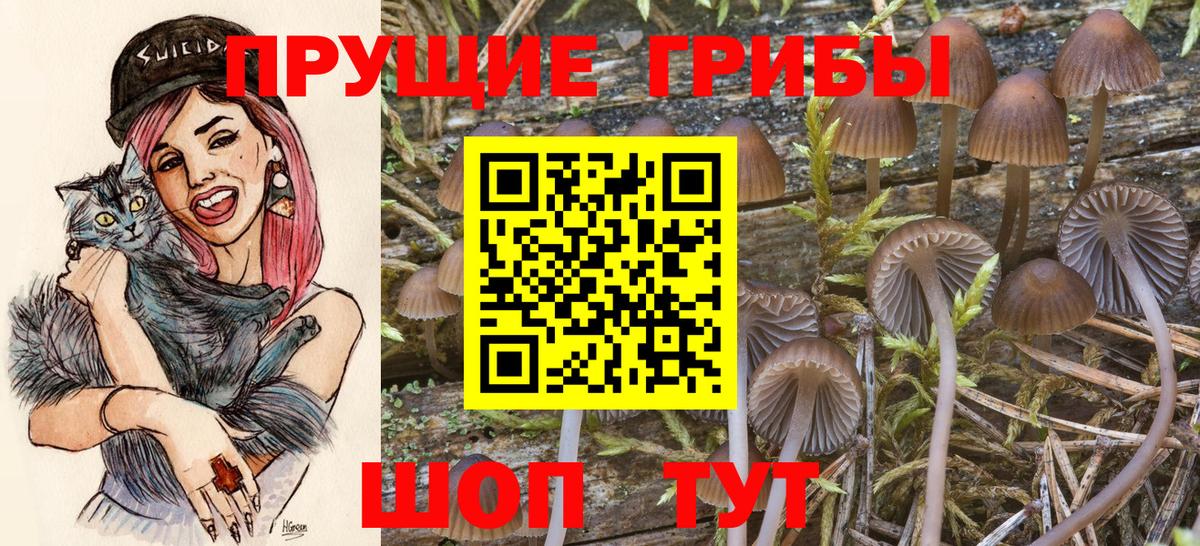 Фрязино  Галлюциногенные грибы GOLDEN TEACHER  магазин    Галлюциногенные грибы прущие грибы  Вход с VPN 